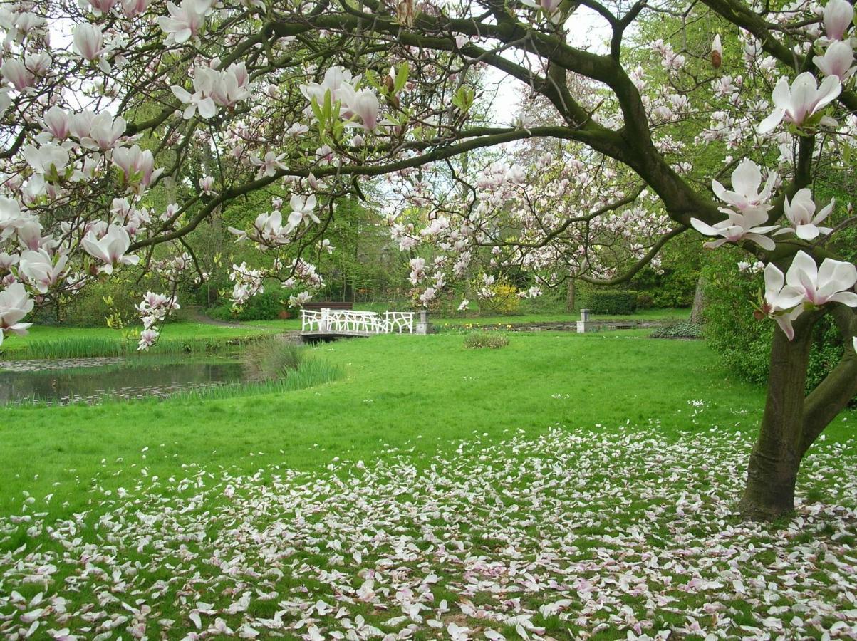 Het Rustpunt Bed & Breakfast Ghent Luaran gambar